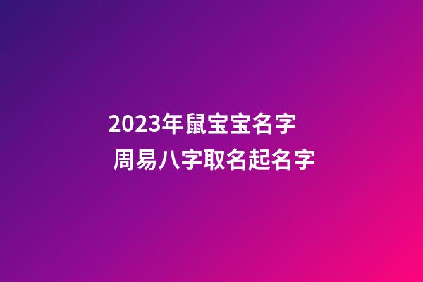 2023年鼠宝宝名字 周易八字取名起名字
